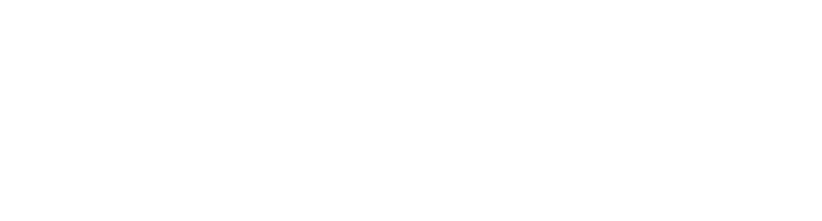 Ledger Nano S